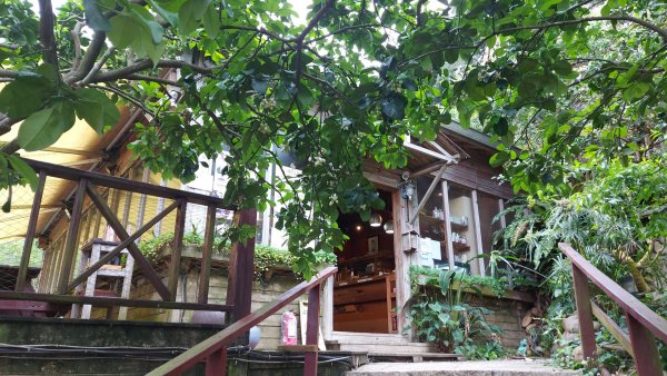 小百岳NO.5觀音山 牛港稜步道  硬漢嶺   楓櫃斗湖登山步道2090120