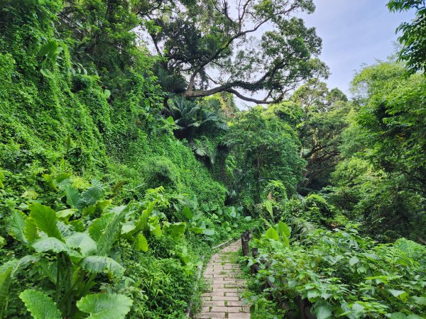 蓮華山古道群2395217