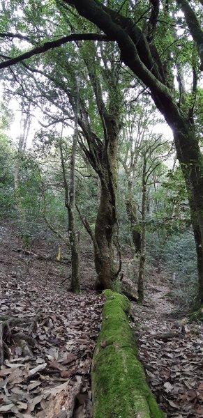 白姑大山之旅743415