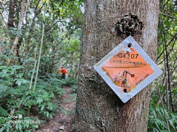南插天山.魯培山.上宇內山(南插北峰)2989749