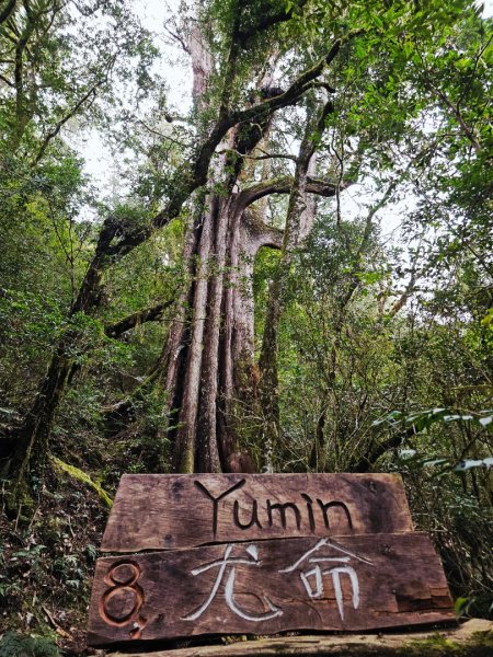 鎮西堡巨木群步道(B區)-(新竹)臺灣百大必訪步道3007843