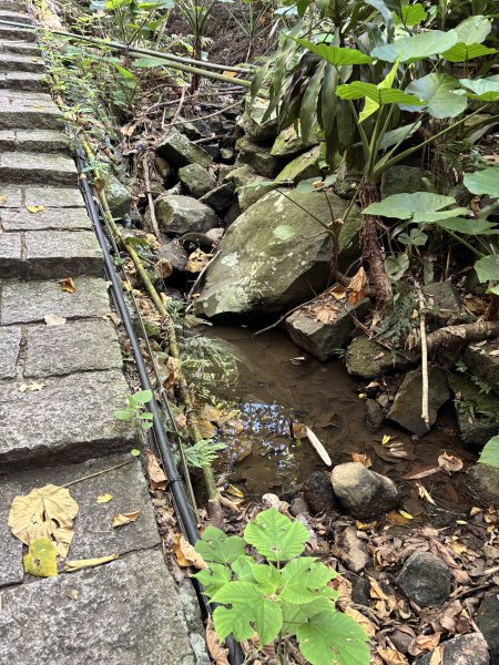 天母古道 + 紗帽山2913887