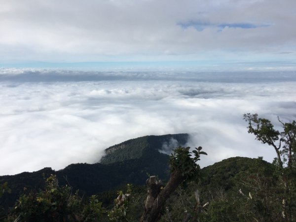 加里山登山步道之旅719233