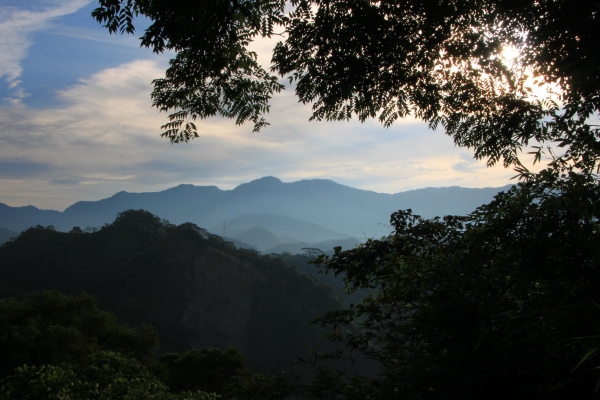 霧峰奧山賞桐花38621