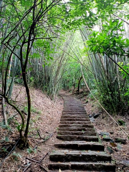 天母古道、內湖大港墘公園、文間山登山口、劍南路潛園【走路趣尋寶、健康大穀東】2273617