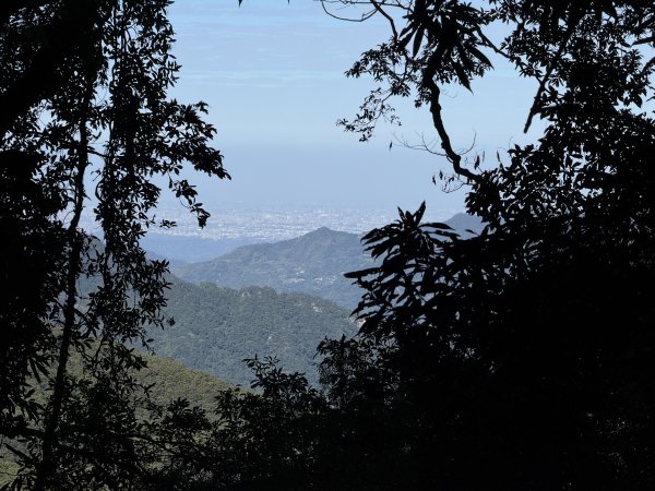 山毛櫸掉光光的 卡保逐鹿O繞 202511152937453