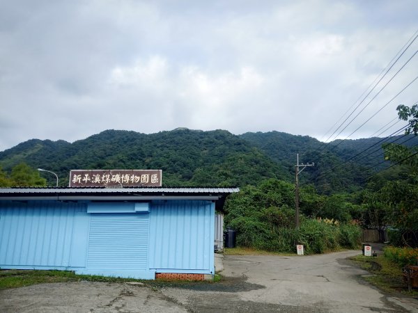 20201031登五分山賞芒花之旅1150321