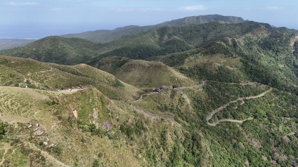 2025.11.29－草嶺古道芒花季2955995