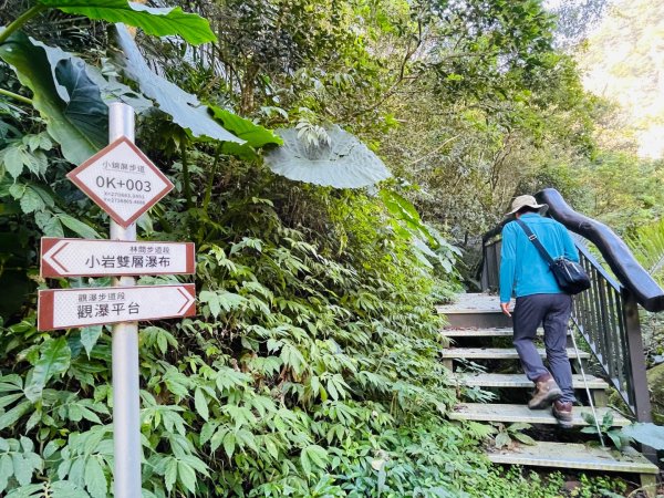 1141117小錦屏步道2946833