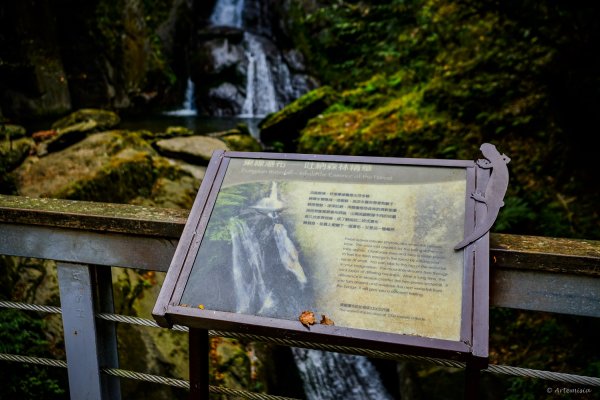 [冬訪大霸聖山岳參行]-大鹿林道東線榆金楓紅與九九山莊精選輯2974628