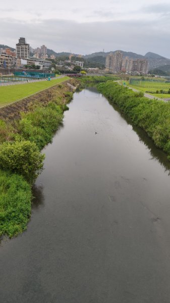 台北大縱走第七段2450242