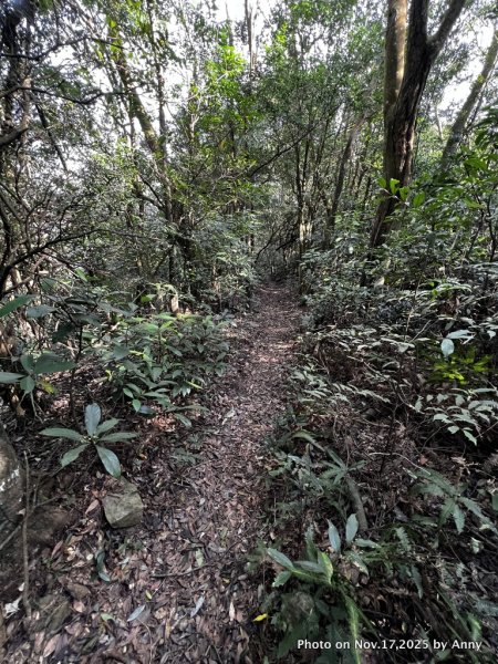 苗栗三員縱走2942842