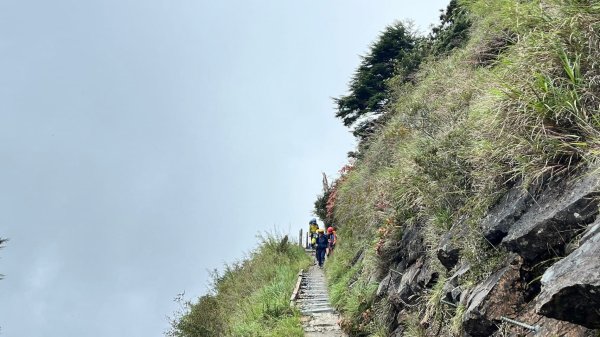 9/10(二)-11(三)東北亞最高峰~玉山主東2日 DAY12594713