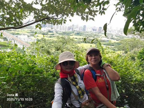 20251110竹北文山步道＆犁頭山稜線步道賞高鐵+大墩山柿園2934057