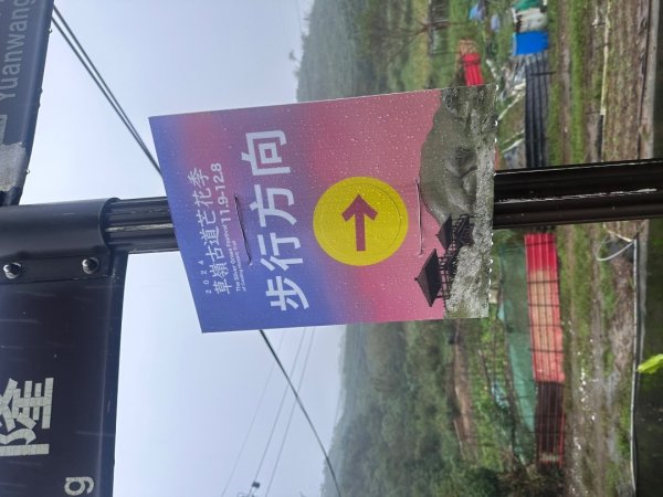 2024草嶺古道芒花季草嶺古道2644776