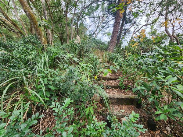20250101海口山、糠榔埔山、闖水窩山及大牛朝山2726200