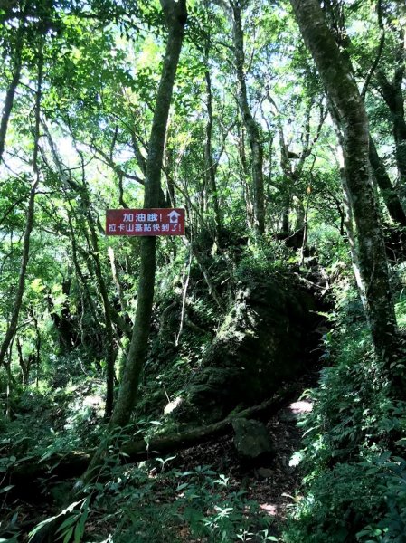 拉卡山前鋒_拉卡山_東滿步道滿月圓小O型201907271964406
