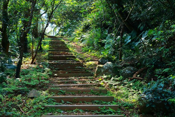 猴山岳。二格山。小獅山連走616155