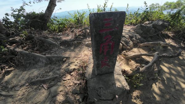 高雄 大社觀音山2960477