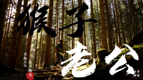 光洗頂山人造柳杉林 By 猴子老公(Dingshan artificial cedar forest)