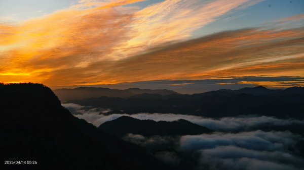 #翡翠水庫壩頂 #日出雲海 #火燒雲 #霞光 #月圓 #松月櫻 #鱷魚島雲海 4/14 & 162760634