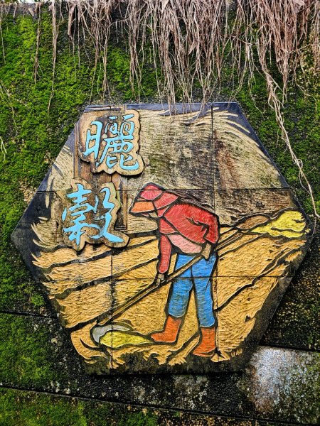 2026年臺北大縱走第七段：世界山莊至飛龍步道政大後山3032045