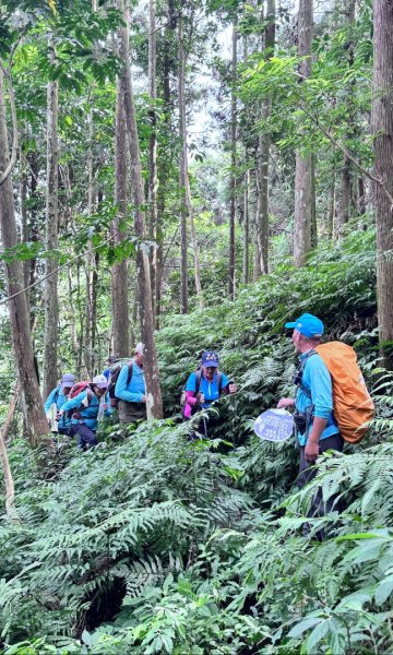 光天高山 - 向天湖山(小百岳32) 小O一圈2876927