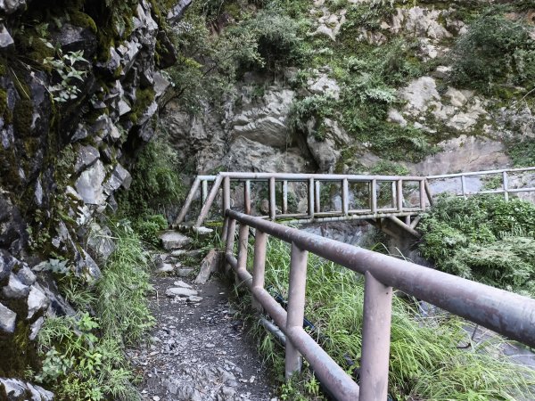 [玉山尋寶任務-07/12] 2025_0824 八通關雲龍瀑布步道2870686