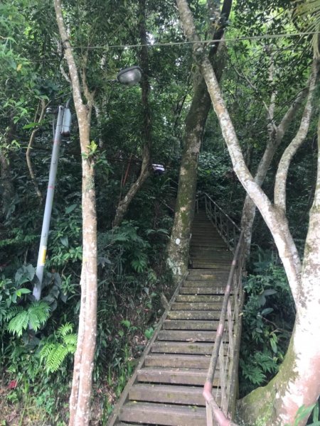 20190608新店獅頭山步道612417