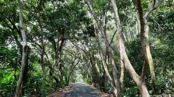 《彰化》登山禮佛｜松柏嶺登廟步道及坑內坑森林步道O型202307152219578