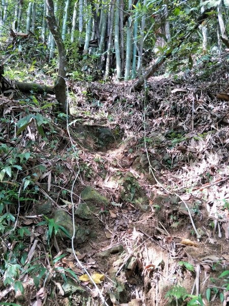 舊小百岳:水社大山1424338