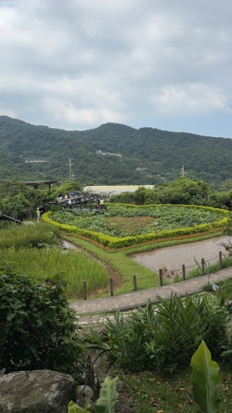 2026台北大縱走第四段3077453