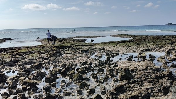 韓國濟州島：挟才海水浴場2912167