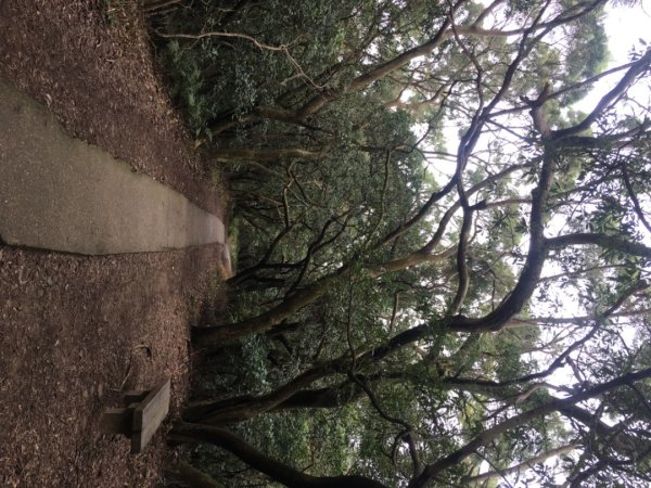 五酒桶山、南崁山2693347