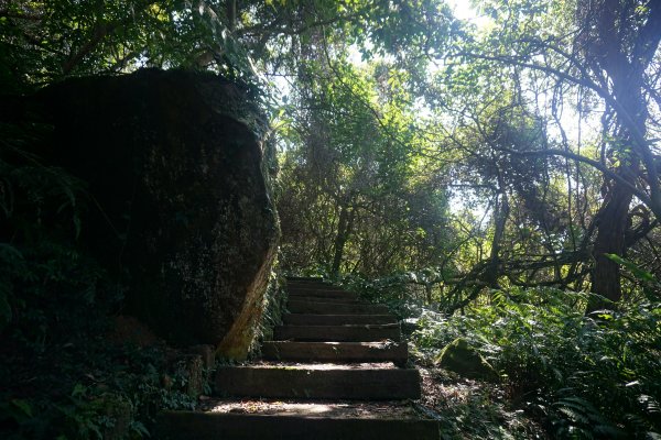 臺北大縱走7：幽徑踏青探仙神1255210