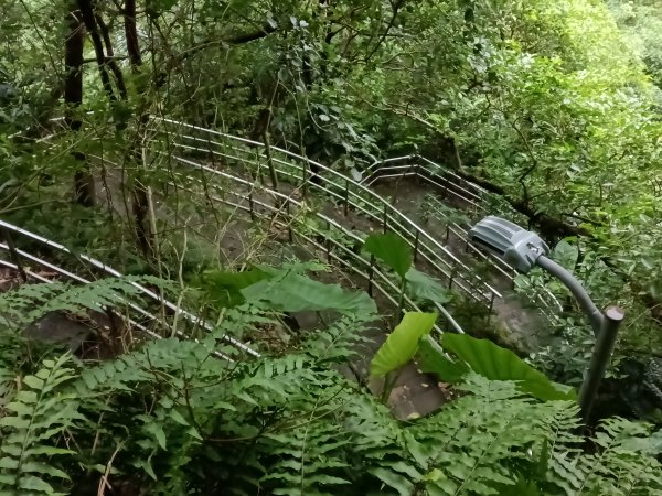 內湖區大湖公園+白鷺鷥山2931142
