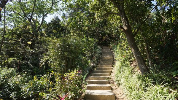 大棟山之縱302470