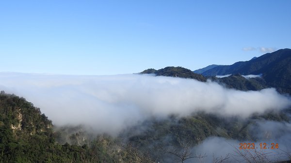 馬那邦山/細道邦道雲海&觀音圈 #黑雞  #花嘴鴨 12/242385583