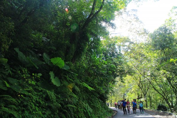 烏來內洞森林遊樂區 20181021444475