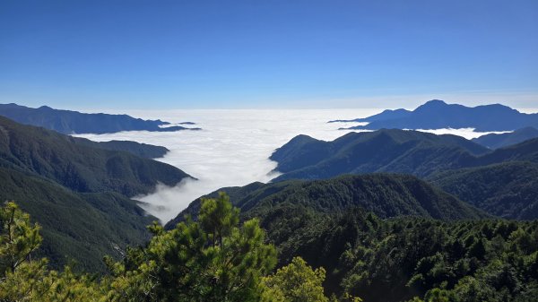 20241124-1130 南二段10座百岳2665497