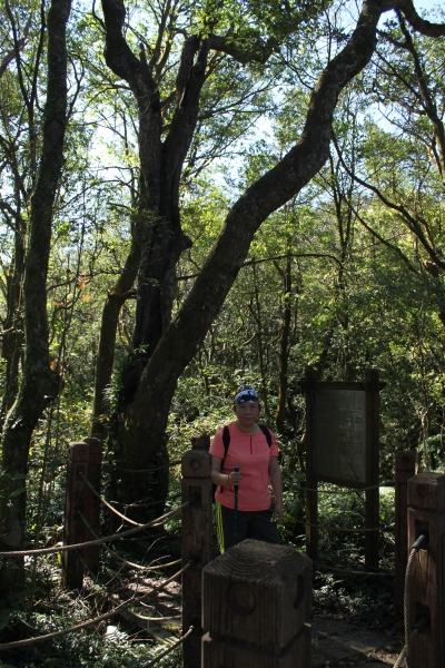 20161226新店獅子頭山登山步道90839