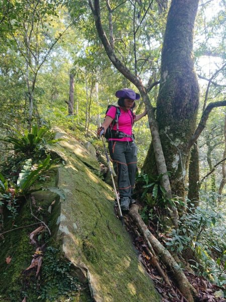 那結山（嘎色鬧部落線）893431