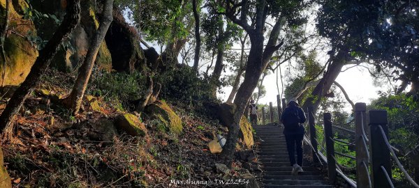《台中》登山市集｜大坑9及9_1號步道上觀音亭202512202966557