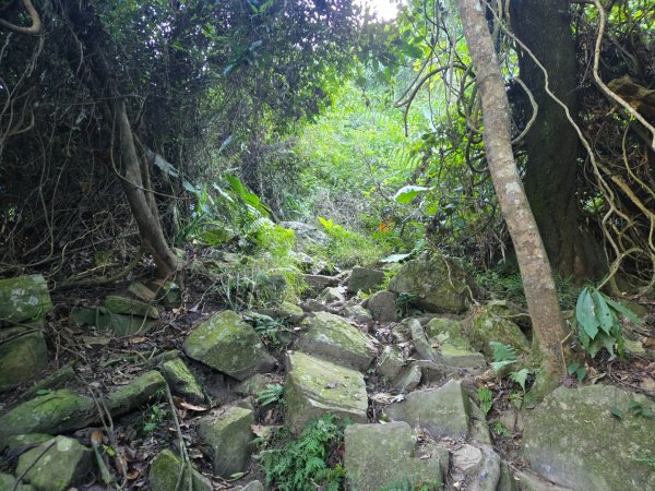 水雲三星～上島山（鳥嘴山）2931227