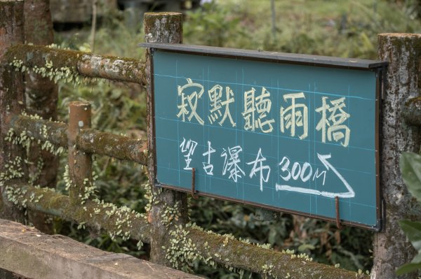 2026微笑山線：【五分山系】望古瀑布段3092134