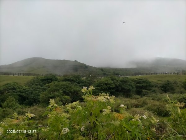 臺北大縱走第三段：小油坑至風櫃口2840573