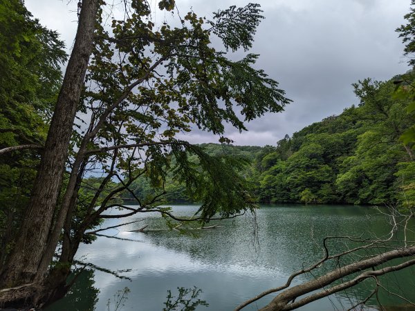 2023-06-14 十二湖（日本）2793203