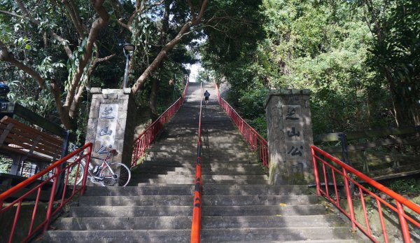 芝山岩封面