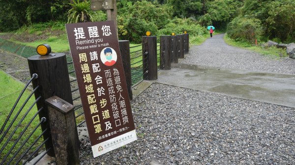 新寮瀑布步道登山健行趣（步道）1666385