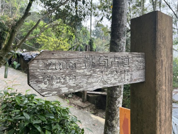 2023_0429_挑筍古道2138305